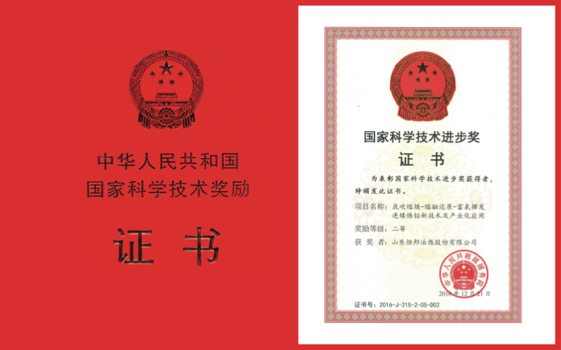 國家科學(xué)技術(shù)進步二等獎